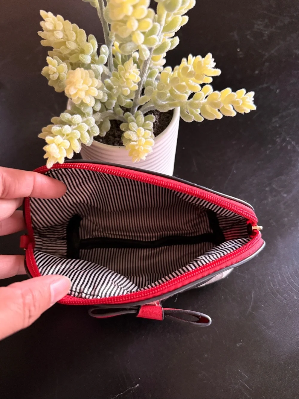 Striped Cosmetic Pouch with Red Bow Accent
